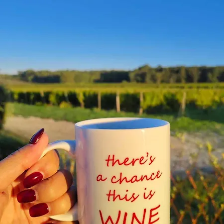 Semesterbostad Chateau De Potiron Capian