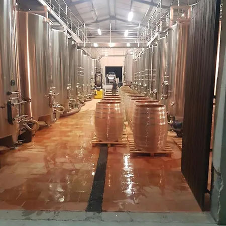 Chateau De Potiron Semesterbostad